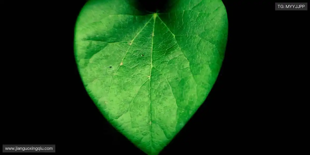 热血直播,永不间断!🔥